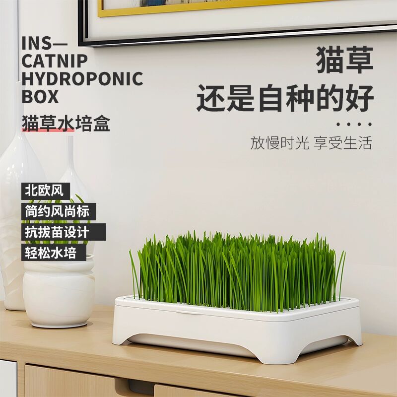Cat Grass Hydroponic Growing Kit Cat Grass Box Natural Cat Grass Cat Snacks Cat Supplies