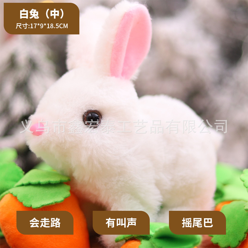 Conejo blanco (centro)