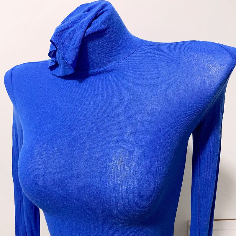 Plain Turtleneck T-Shirt, Sexy Basic Style, Colorful Base Layer, High-Necked Thin Semi-Sheer Top for Autumn Plain Turtleneck T-Shirt, Sexy Basic Style, Colorful Base Layer, High-Necked Thin Semi-Sheer Top for Autumn