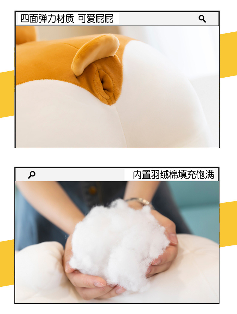 柯基_19.jpg