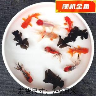 �����~С�͵�ˮ�^�p�~���B����ˮ���w�~�{���^�~���βС���~����