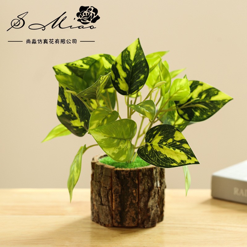 50141 maceta de corteza verde plantación bonsai ☆