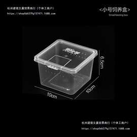 跨境人渣盒爬虫箱螳螂跳蛛养蚕饲养盒爬行动物睫角寄居蟹饲养箱