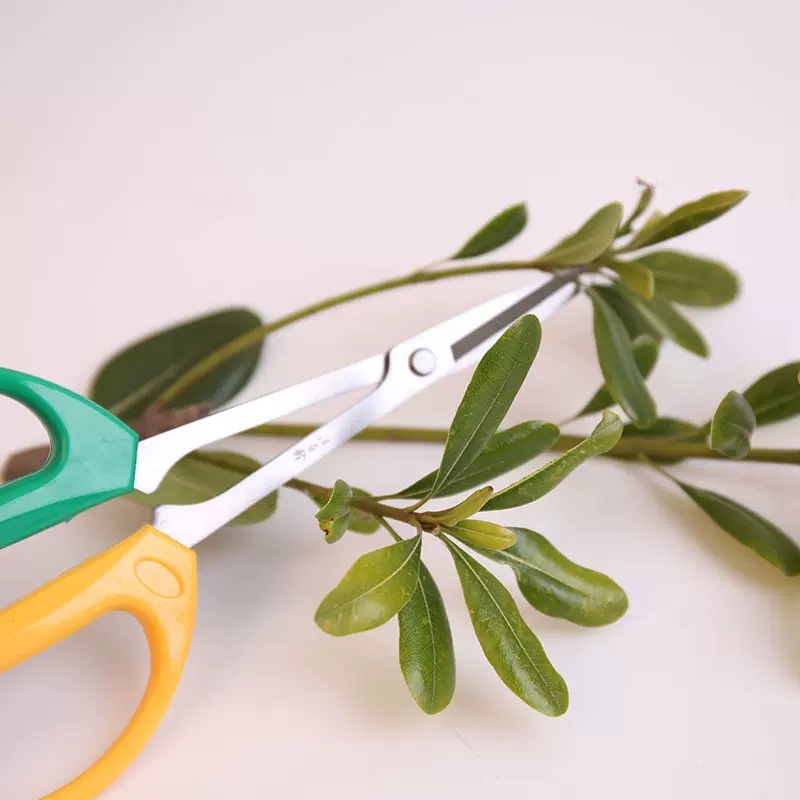 Wang Wubro tijeras de poda de ramas de carne larga de mango largo jardinería tijeras de poda de flores tijeras de brotes de ramas tijeras de hojas de maceta herramientas de bonsai