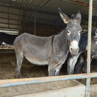 �������H�r�� �������H��  ���^�H������ �����H�r��