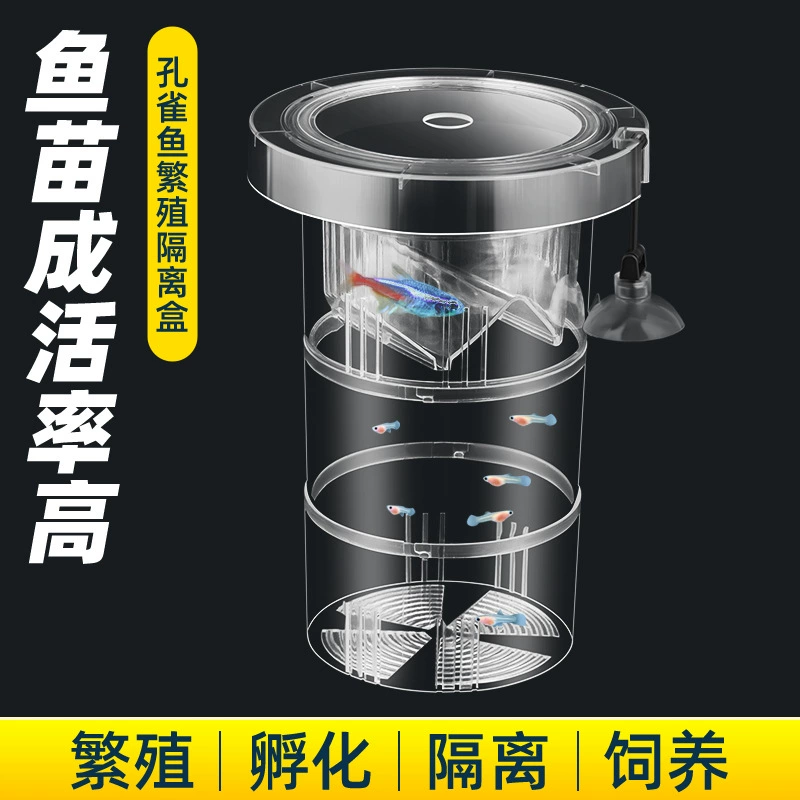 Акриловая изолирующая коробка для инкубатора с гуппи в аквариуме