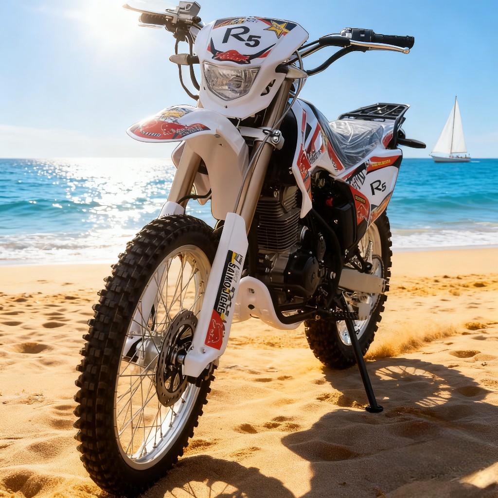 Motocicleta todoterreno de 250cc, vehículo de playa, vehículo todoterreno, vehículo de carreras todoterreno eléctrico, vehículo de movilidad exclusivo transfronterizo