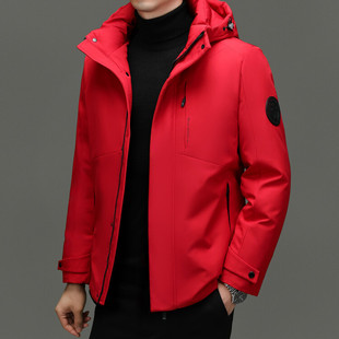 �q�q���&RR-YR88508-95�q��q��