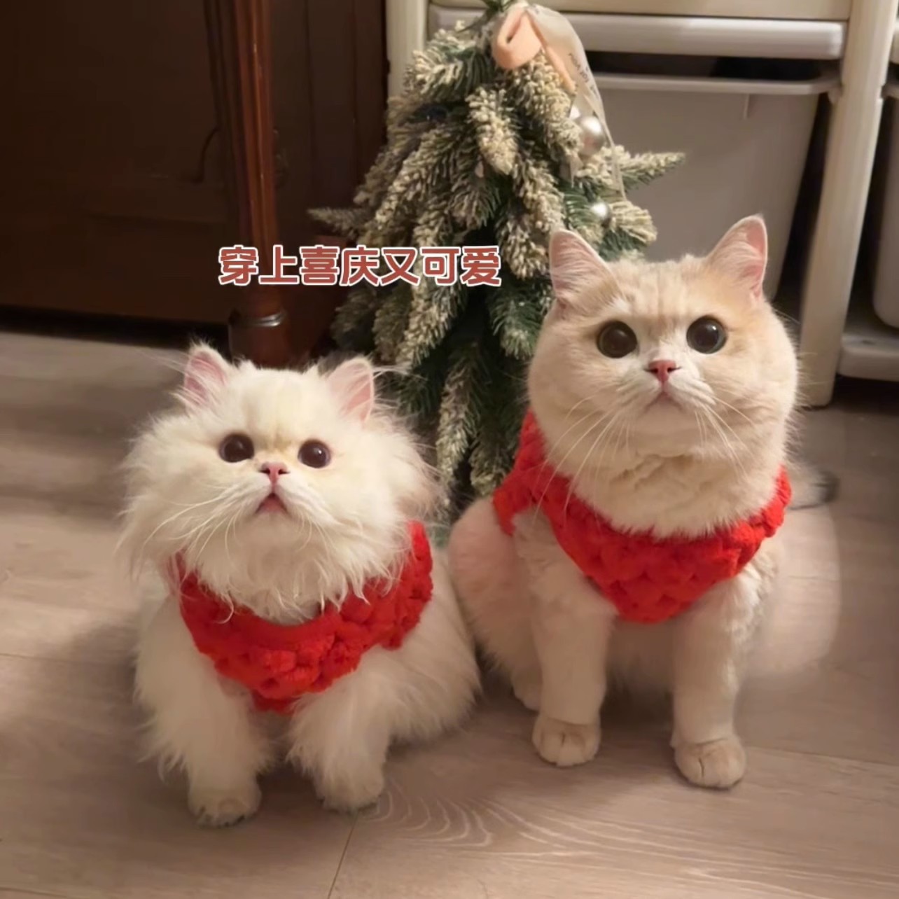 Ropa de mascotas para gatos de Año Nuevo chaleco de peluche cálido oro muñecas de capa graduada gato azul gato joven invierno ropa de Año Nuevo