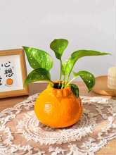 �����մ�С��ƿ�[���͏d�廨ˮ���r���G�}�Gֲ�����b��p�ݸ�