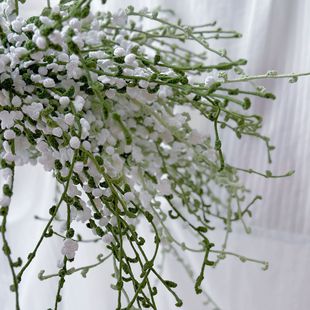 ���h����Ʒ��ѩ���ֹ��廨�仨�b�����滨С���²廨��c�b�