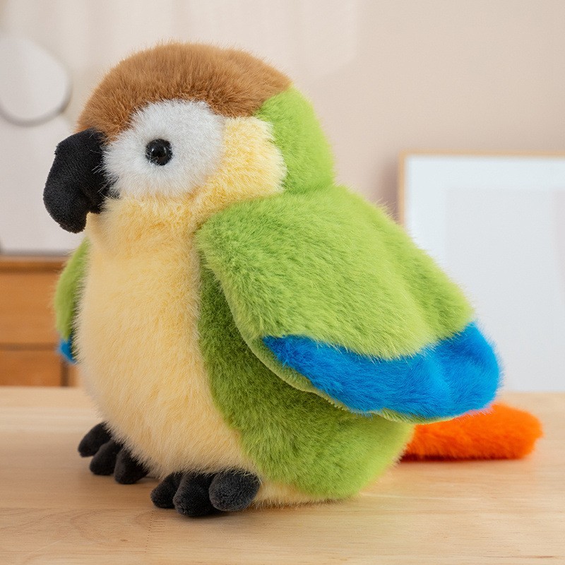 Loro colorido