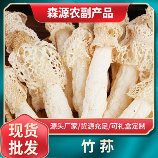 ���|���p�����F�����p��؛���������l�������p�Ҝ�ʳ���ֹ�����