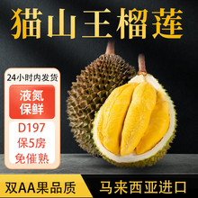 斯可沁马来西亚猫山王榴莲D197 双AA果3.5-4斤液氮冷冻锁鲜水果源