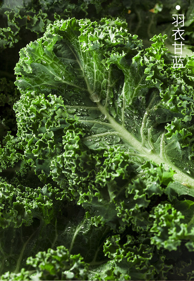 Kale Chia Seed Black Soybean Drink Powder 150g Sugar-Free Grain Nutrition Mix quality and texture