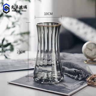 高级简约轻奢加厚ins风透明玻璃花瓶水养富贵竹鲜花插花客厅摆件