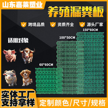 山东漏粪板猪场 养猪场设备厂家 猪牛羊产床塑料漏粪板猪厂