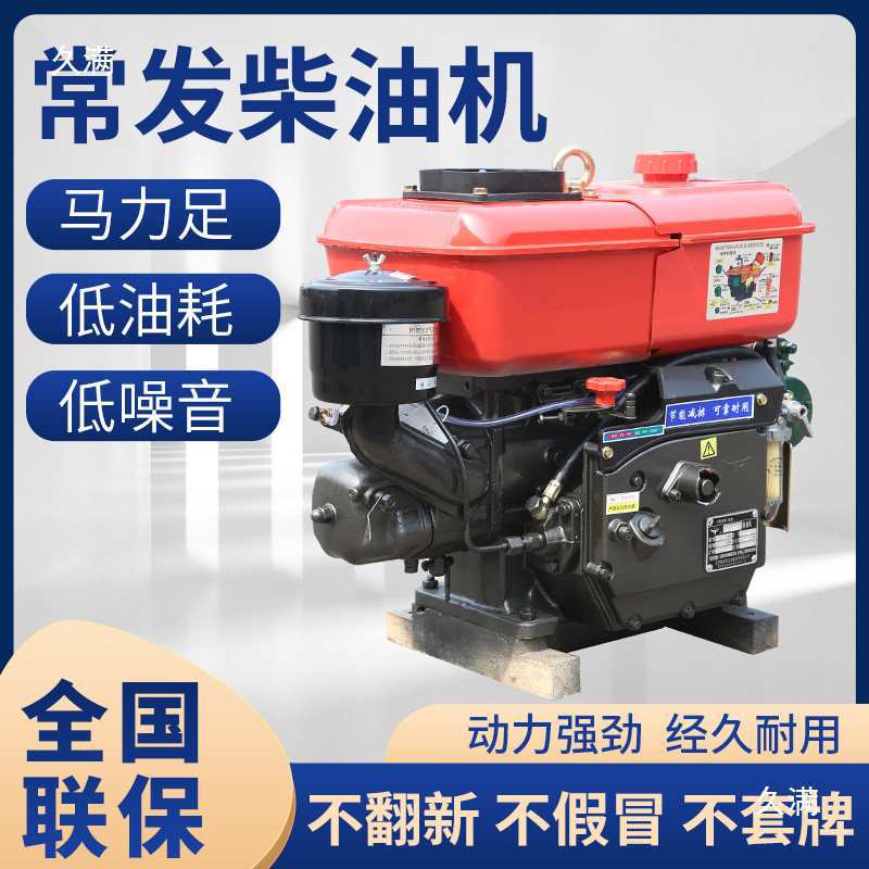 Changzhou Diesel Engine 175 176180 190Z12 Single-Cylinder Water-Cooled Diesel Engine 6-8 Horsepower