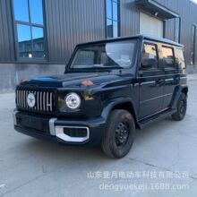 新能源电动汽车油电两用四轮电骄家用四轮电动车代步车老头乐