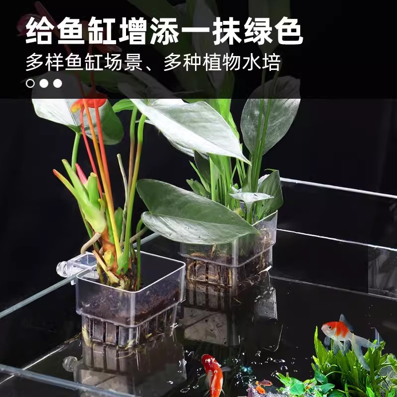 鱼缸挂式水草种植杯亚克力水培植物蓝定植篮壁造景装饰绿萝固定