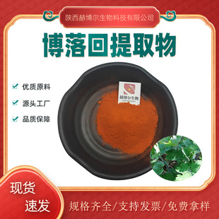 ����ؿ��|60% �������ȡ�� Ѫ���|40% �����˼t�|20% �����b