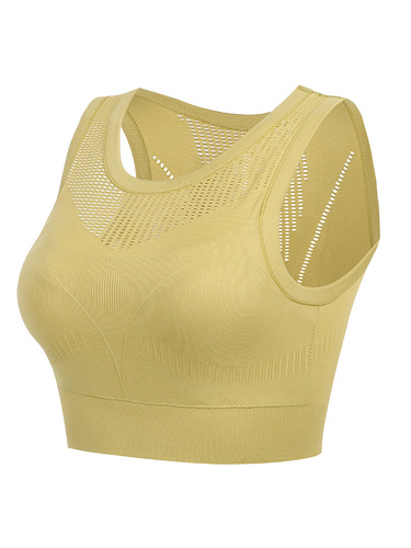 Autumn Breathable Mesh Beautiful Back Yoga Wear Women's Sports Bra Shockproof Push-Up Bra Vest Fitness Top