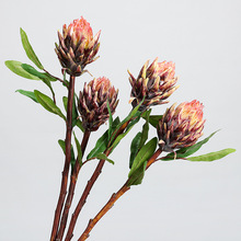 ���滨�����������Ꭷֲ�ﻨ���쾰�zӰ�͏d�Ӱ��g�Ƶꙻ���b�Ʒ