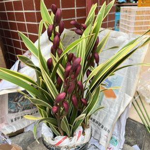 ��߅����ޥ�m��t���m���������҃����ԾGֲ�󻨻ܻ����r������l