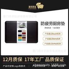 ܛƷƏN|PULΈAǾƣډ|mվ|õ؉|