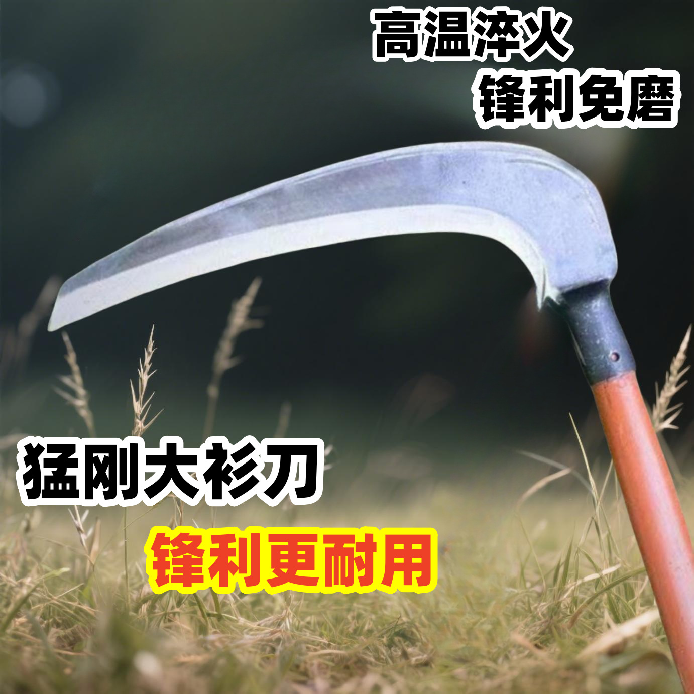 645645_副本.png
