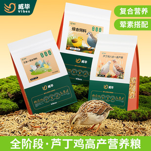 �J���u������Ϯa���µ��Zʳ�����߲����_�����u���r�R���uʳ�Z