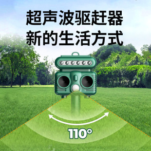 �¿�羳�������������s���B���Ұ�F������������W����B��