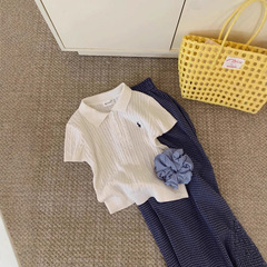 夏の新型婦人服の麻花半袖の女性の修身の中にpoloの襟の刺繍を掛けて底のニットの上着を着ます。