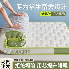 乳胶记忆海绵床垫加厚卧室家用软垫榻榻米单双人宿舍学生宿舍铺底