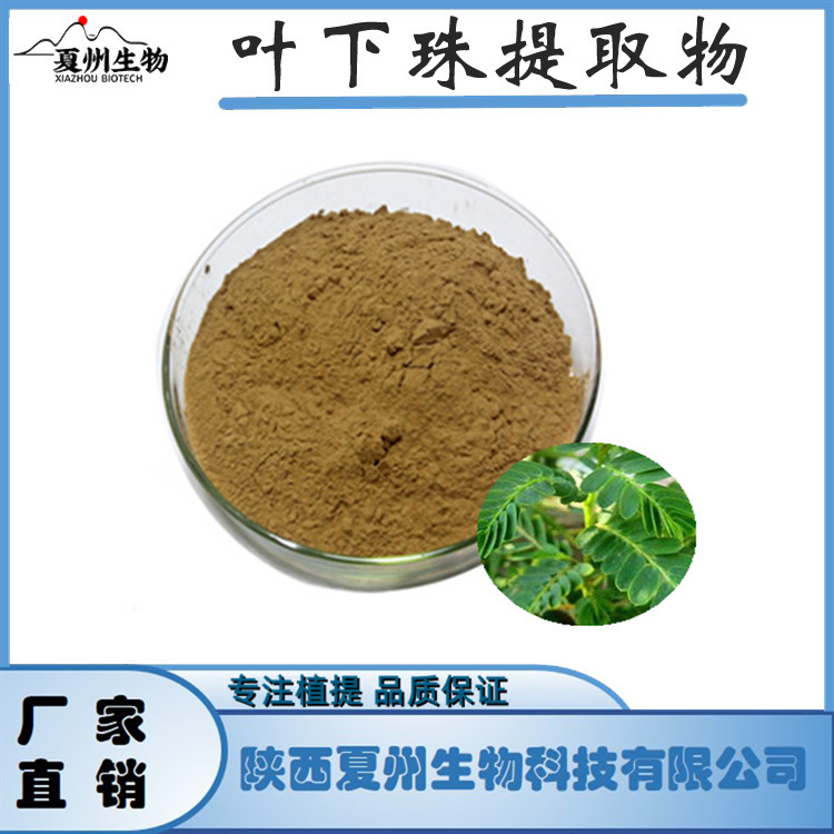 叶下珠提取物10/20/30:1 珍珠草提取物 叶下珠粉另50:1 夏州原料