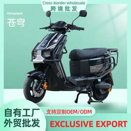 跨境新款苍穹黑色电瓶车出口两轮电车大功率电动车自行车外贸批发