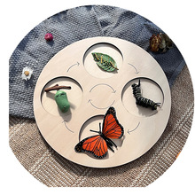 ����life cycle board�������L���� �_���� ѭ�h���ݽ̾߱Pľ��