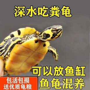 ��ˮ�ԼS��������������ˮ�^�p���~�����Bˮ�|�������~ʺ������