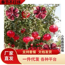 ͥԺʯoʯͻ˹ܛʯϱNֲ