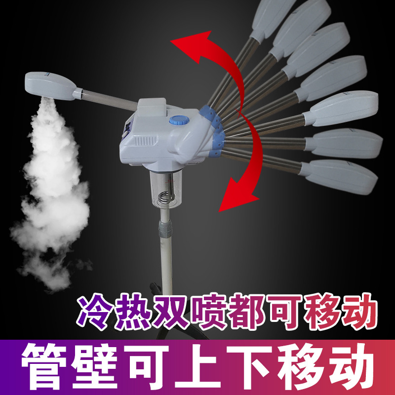 한약 이온 싱글 및 더블 튜브 핫 및 콜드 스프레이 머신 뷰티 살롱 홈 증기선 보습 미백 피부 회춘 도구 미스트