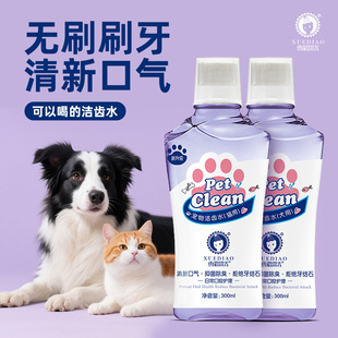 Ferret Clean Fragrance Pet Mouthwash Dog and Cat Oral Cleaning Supplies to Remove Bad Breath and Tartar Cat and Dog Teeth Cleaning