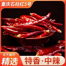 �ؑcʯ���t5̖����������̖�������μt�����۳��콷����������