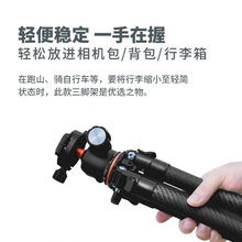 �݌�̼�w�S���_��TS-255N+X2�̨���b���Ǽ����C�η����I�����zӰ