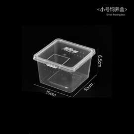 跨境人渣盒爬虫箱螳螂跳蛛养蚕饲养盒爬行动物睫角寄居蟹饲养箱