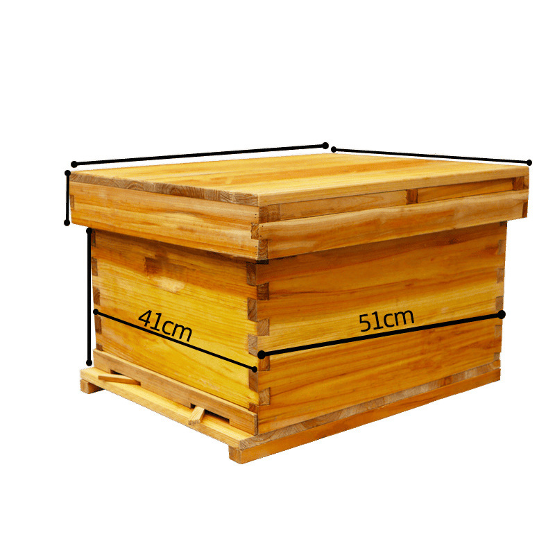 Y colmena de abejas, conjunto completo de abejas atraídas, diez marcos, siete marcos, colmena de abejas estándar, tablero de madera, barril de abejas, apicultura especial L