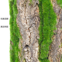 ��Ƥ�b��ܵ���ˮ�����ӷ����Ƥ�b٘�Ƥ�쾰�ړ��b����Ƥ