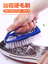 硬毛塑料刷子硬毛刷鞋刷洗衣刷地板刷衣服板刷清洁家用