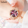 Labaoli Labaoli New Fashion Steel Belt Female Watch Moon Diamond Drilling Independent Second Watch Crown Constellation Watch