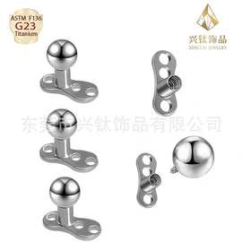 跨境爆款F136钛个性简约圆球内螺旋植入级埋骨钉穿刺饰品厂家批发