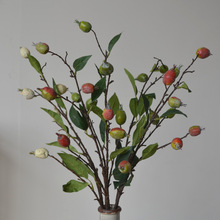 �������l�F؛������Ӽٹ��b�ˇ��ʽ�l���˪���¼���õ���